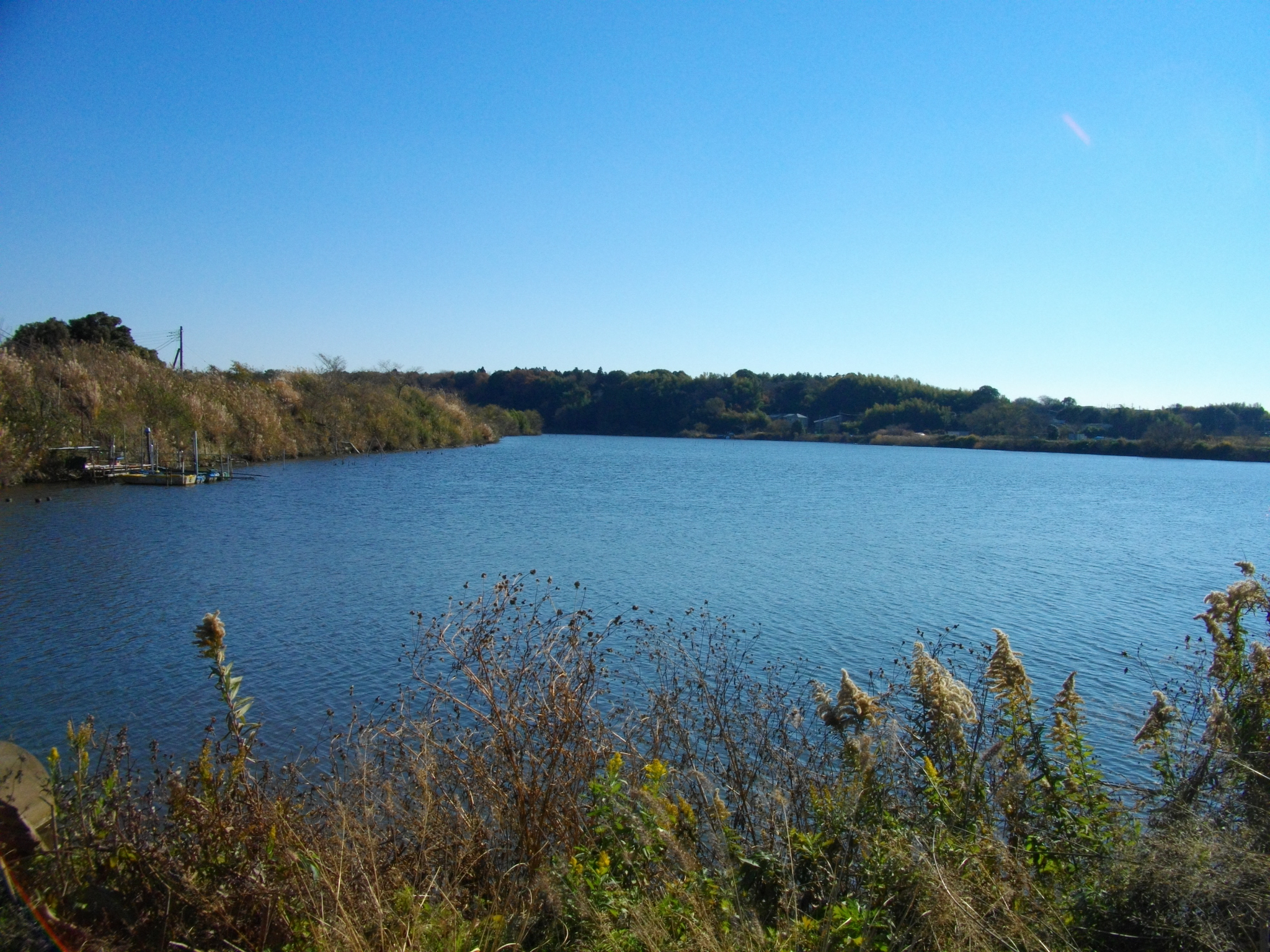 ただの沼じゃない!?「古利根沼」が巨大な川だった頃の記憶と、地図に残る不思議な謎